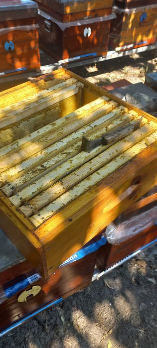 Вулики Дадан 12 рамок, та магазині надставки  на 145