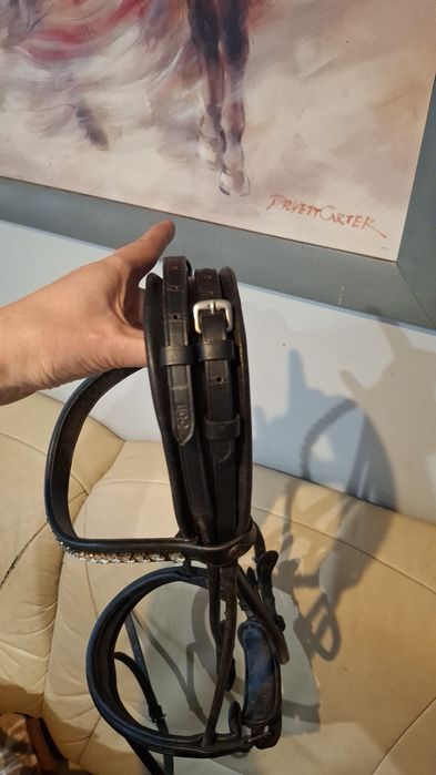 Ogłowie cob lakierowane