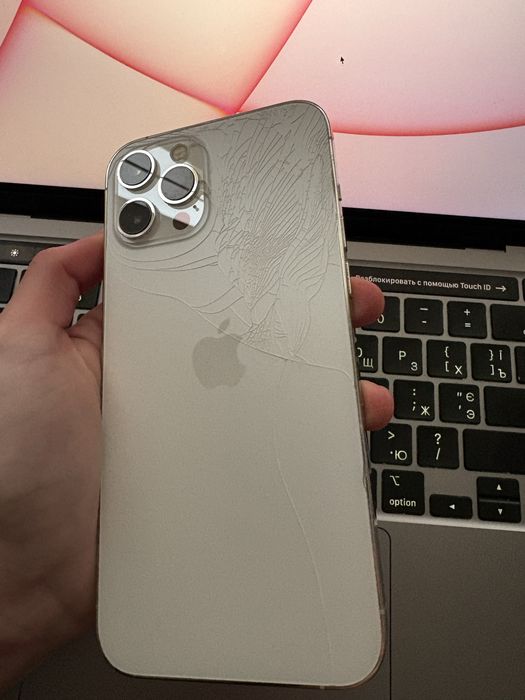 Iphone 12 pro max 256 gb