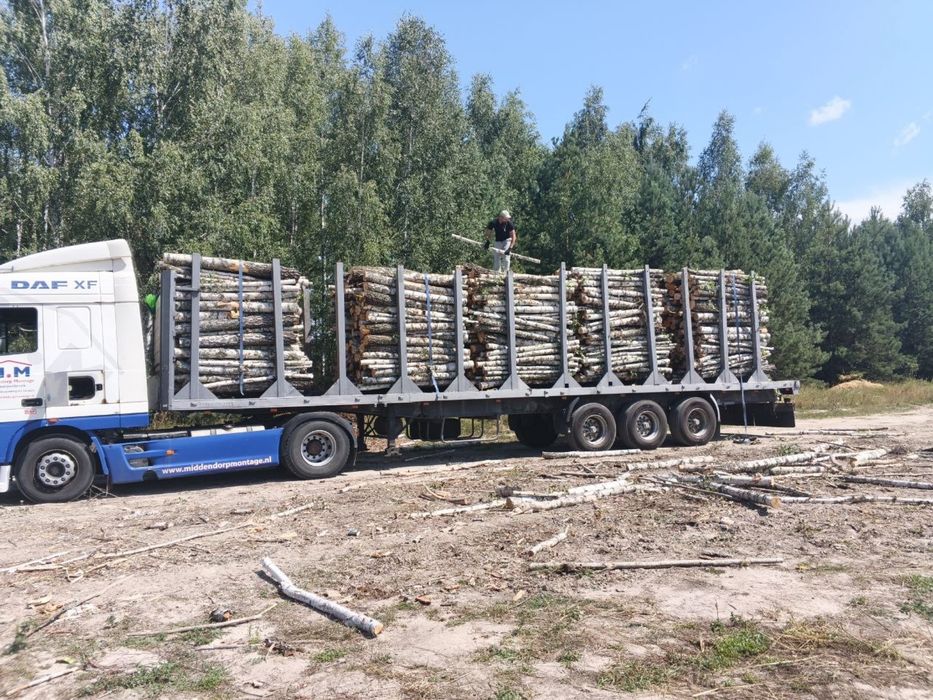Від 50 скм в наявності Береза/Сосна/Вільха 2 м Дрова ОПТ Віницька область Доставка