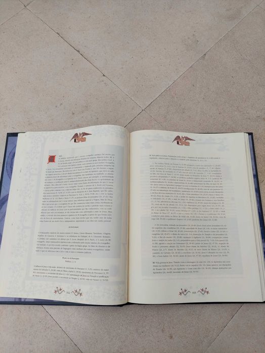 Bíblia Sagrada (Novo Testamento Ilustrado)