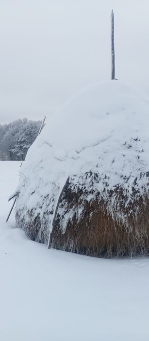 Продається сіно в копиці