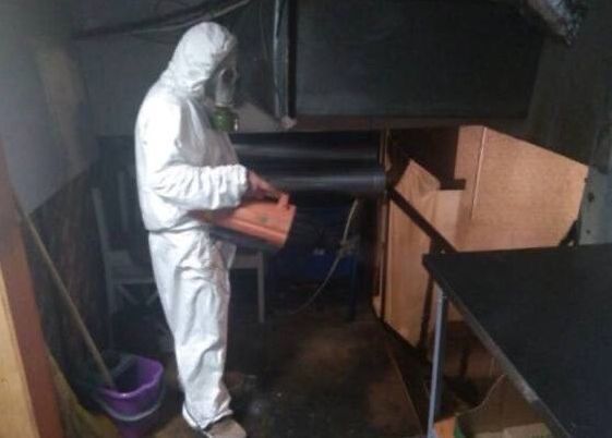 Уничтожение насекомых Дезинсекция травля клопов тараканов КАЧЕСТВЕННО