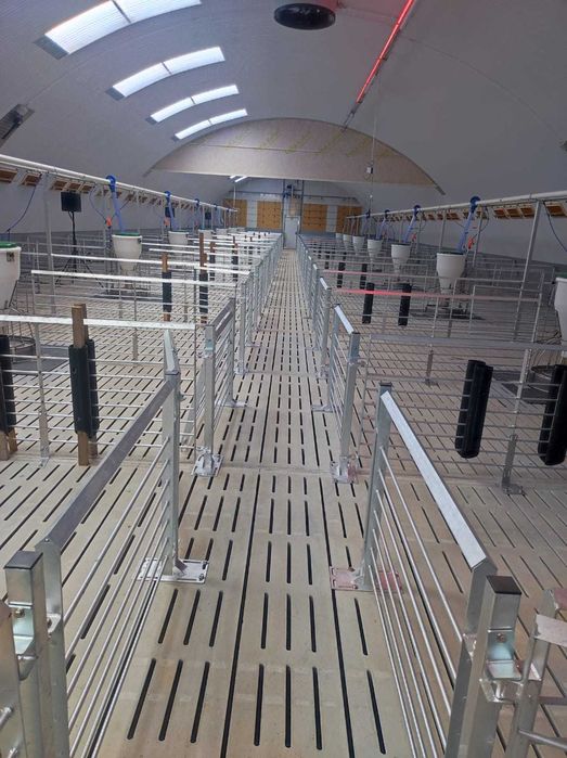 Ruszta betonowe dla bydła i  trzody