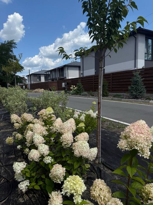 Дом по адресу (площадь 130 м²) - Atlanta.ua - фото 14