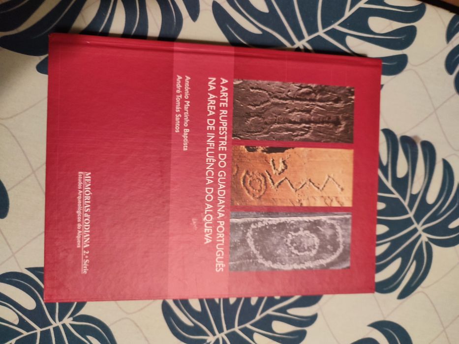 Estudos Arqueológicos do Alqueva