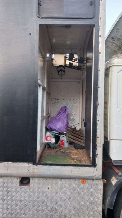 MAN 19-372 transporte cavalos