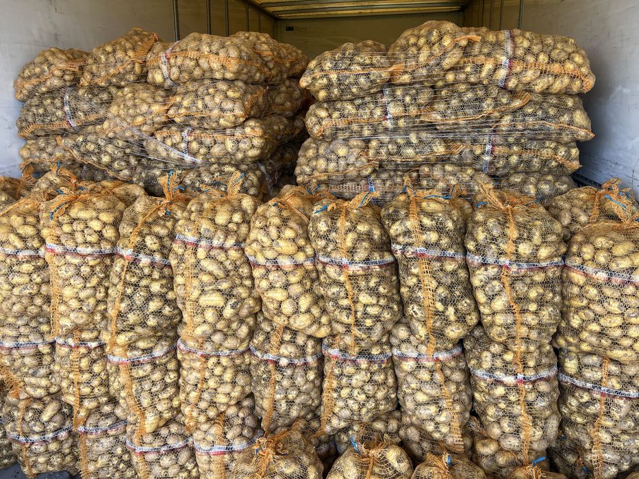 Ziemniaki młode codzinnie duże ilosci Riviera Colomba Lord