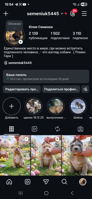 Ваш великодній подаруночок малюк буллі ..