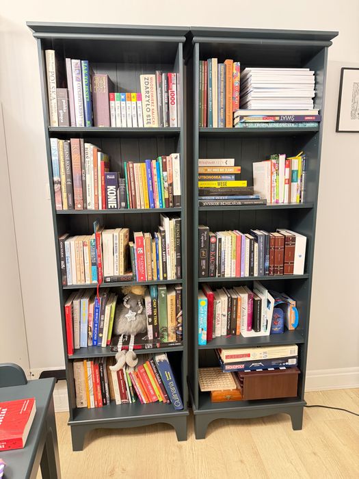 Regały i biurko ikea lommarp