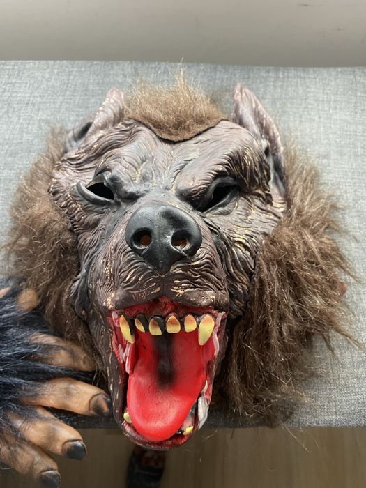 Bardzo realistyczny strój Wilka - Hallowen