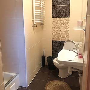 Відпочинок у Карпатах