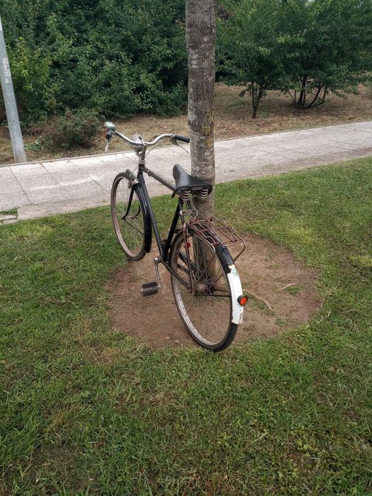 Bicicletas antigas - Vilar