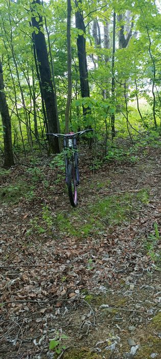 Rower dh YT Teues world cup 2.0