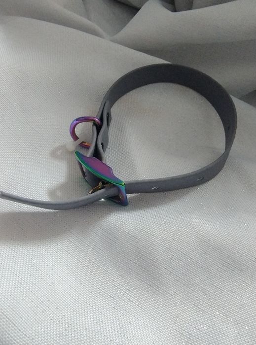 Obroża dla psa pupila