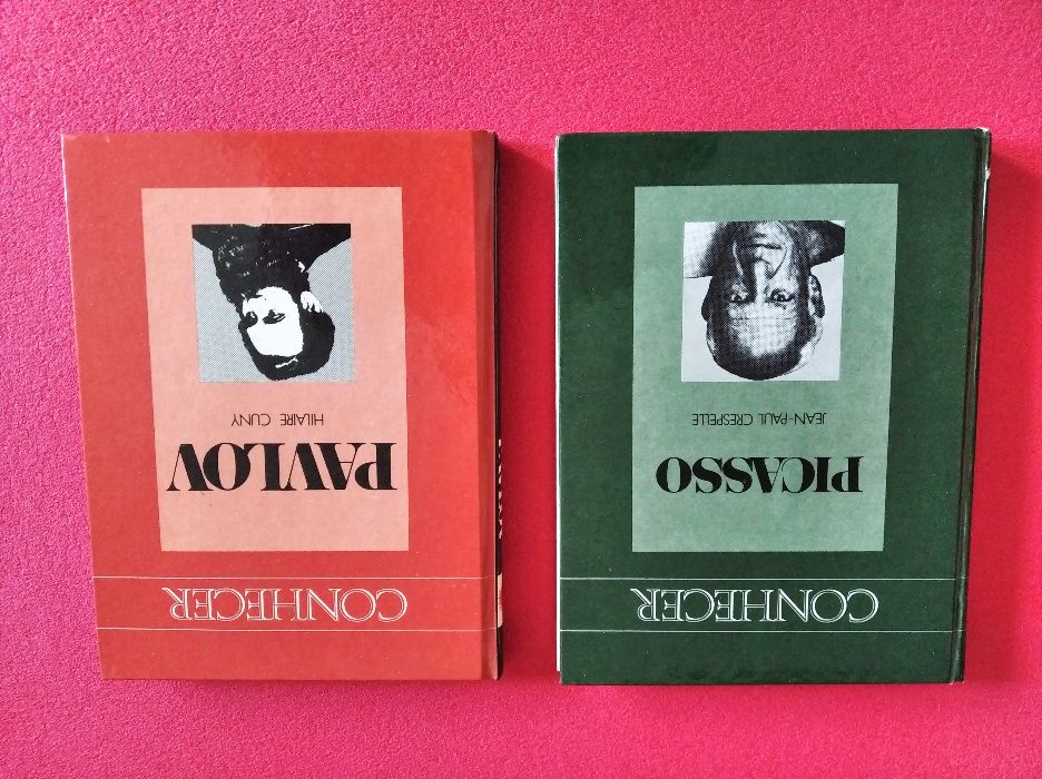 Livros: Picasso, Da Vinci, Garcia lorca; Pavlov, Manet, Amália