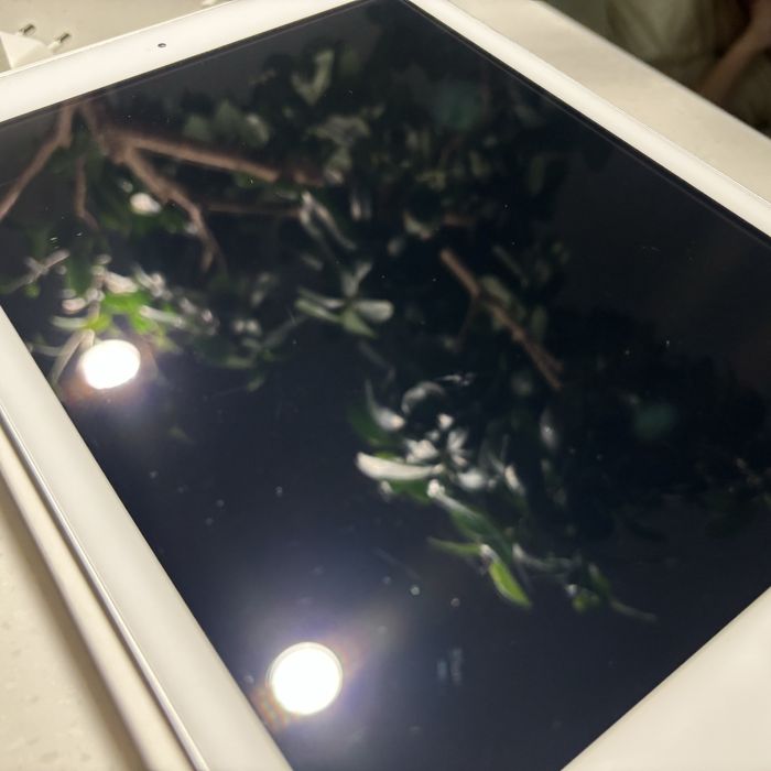 Ipad 9,7 2018р 6th 4/32 gb, без ремонтів