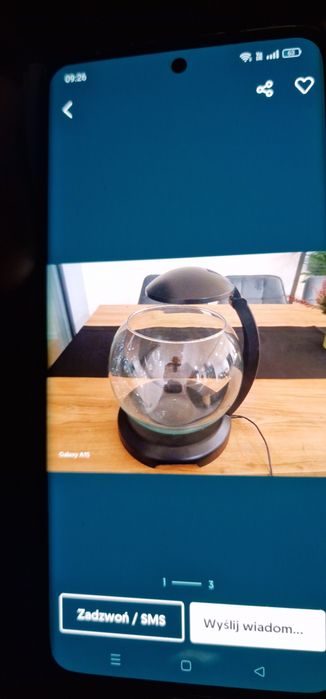 Akwarium małe zielone