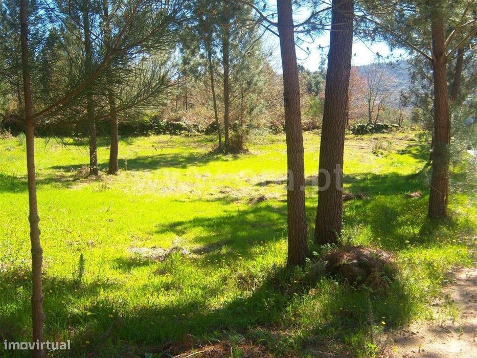 Terreno com ruina / Marco de Canaveses, Sande e São Lourenço — Sande E São Lourenço, Porto