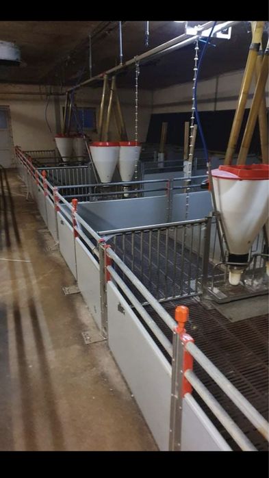 Wygrodzenia Tucznik- warchlak