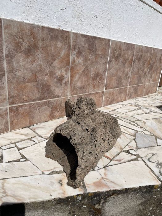 Cortiça para Terrário/Aquário - Mais informações dm