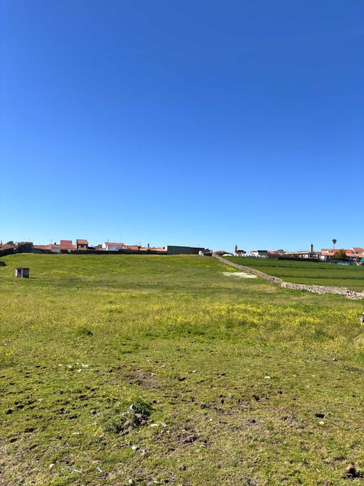 Terreno Rural Amareleja 1,27 Hectares