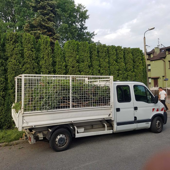 Przycinanie Thui i żywopłotów, nasadzanie żywopłotów, wywóz odpadów