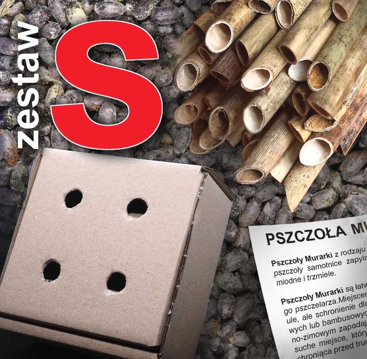 MURARKA - hodowla - mały zestaw startowy+gratisy