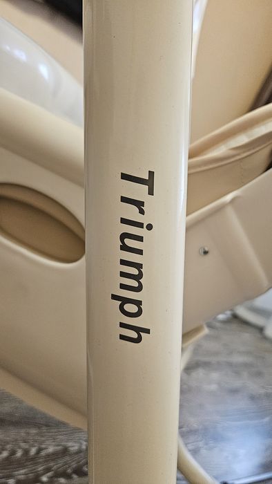 Детский стульчик качалка Carello Triumph crl-10302