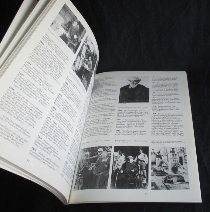 Livro Auguste Renoir Peter H. Feist Taschen