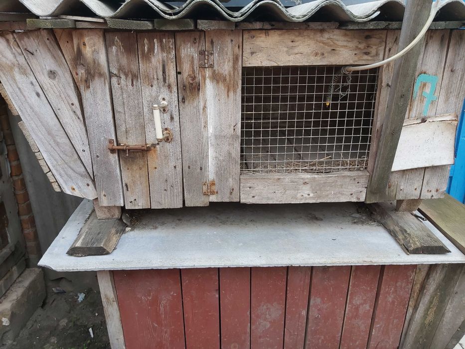 Клітки для кролів