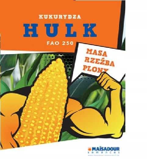 Nasiona materiał siewny kukurydzy - Mas Saatbau Pioneer Smolice RGT SY