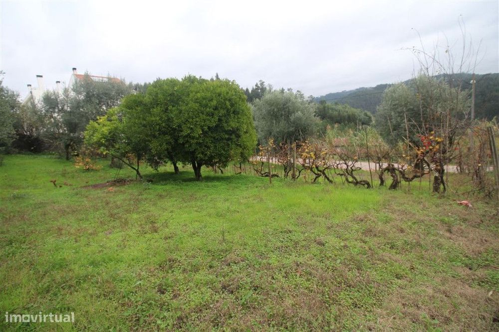Terreno, Coimbra, Almalaguês — Almalaguês, Coimbra