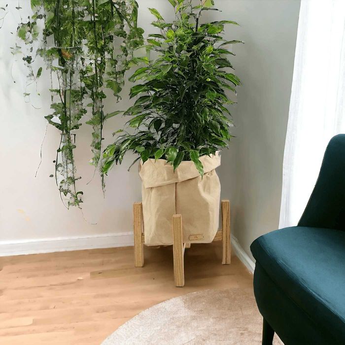 Stojak pod doniczkę Kwietnik drewniany dąb natural 25/h20