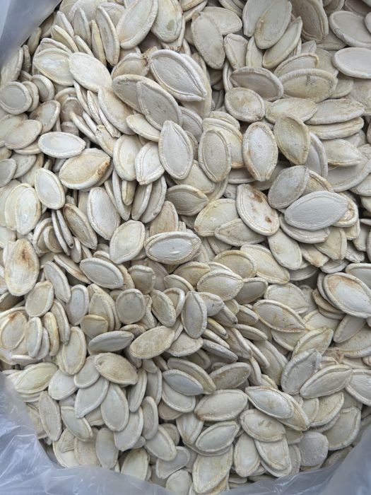 Гарбузове насіння  УКРАЇНКА БАГТОПЛІДНА !!! АКЦІЯ!!!