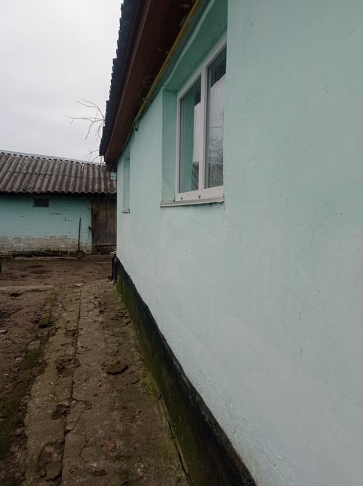 Доглянутий будинок в жилому стані недалеко від Чернігова. Село Виблі.