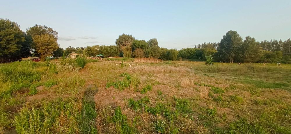 Продам будинок в с.Хацьки