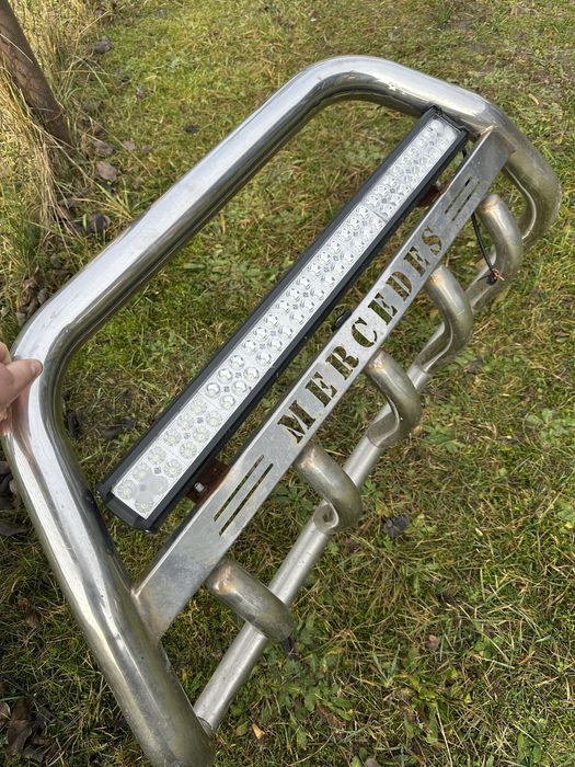 Кінгурятнік на віто 639