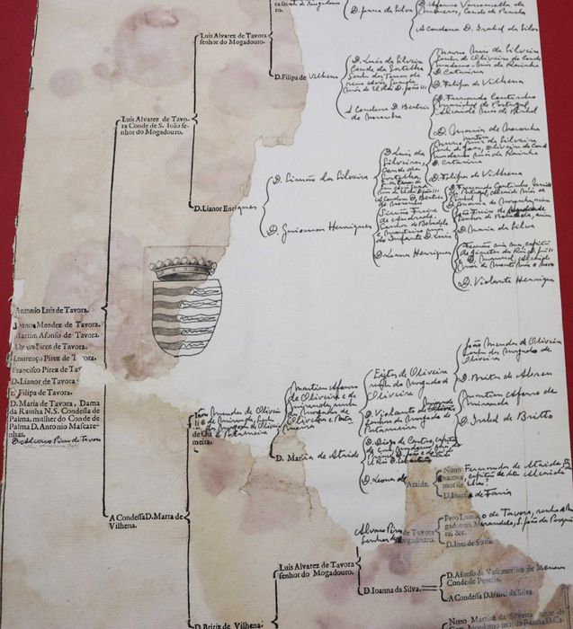 TAVORAS Condes de S. João grande árvore de costados 1623 recuperada