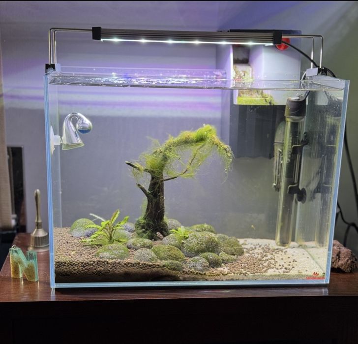 Aquario 20 litros