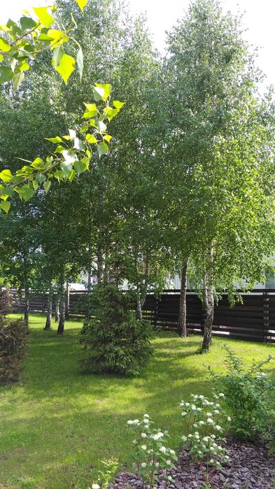 2-кімнатна квартира за адресою (площа 50,1 м²) - Atlanta.ua - фото 11