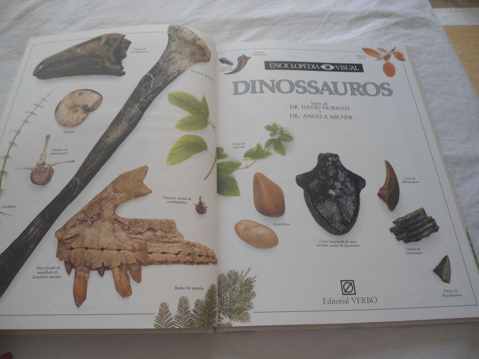 Enciclopédia Virtual Verbo nº 9 -Os Dinossauros