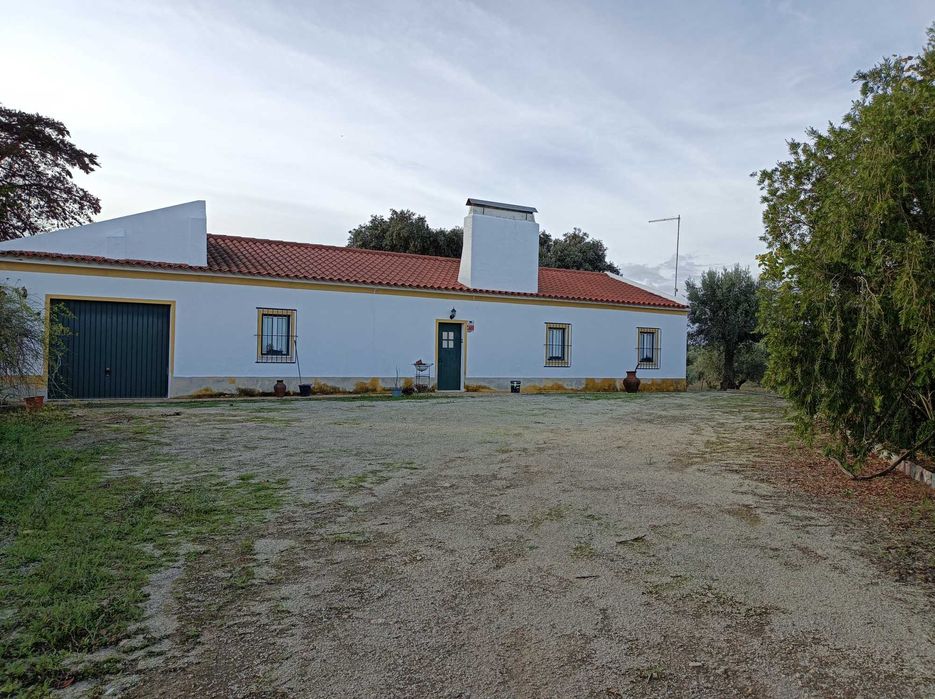 Monte Alentejano com olival — Avis, Portalegre