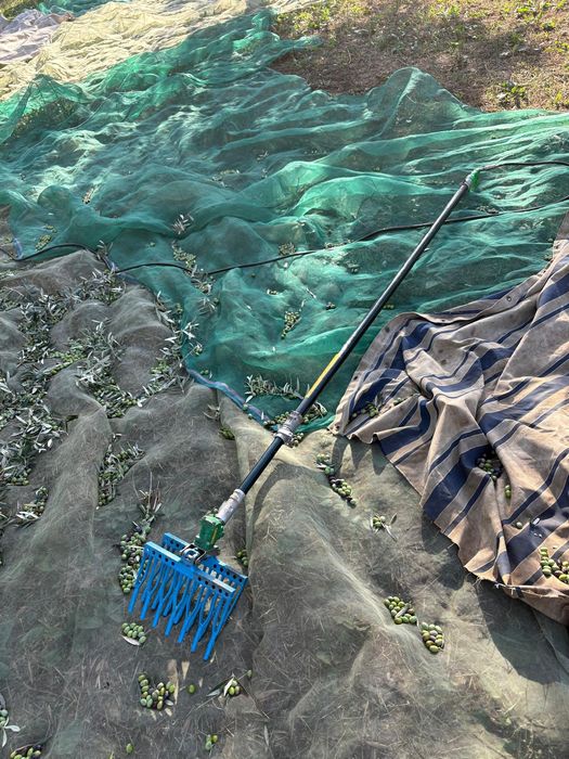 Varejador se azeitona a ar