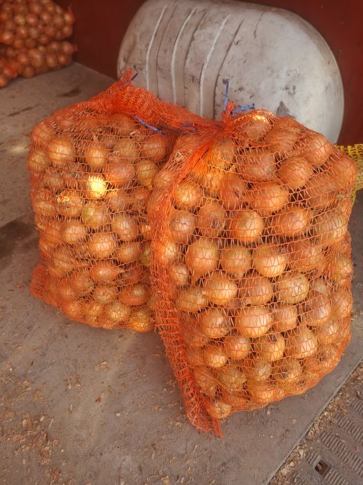 Sprzedam cebulę  drobną