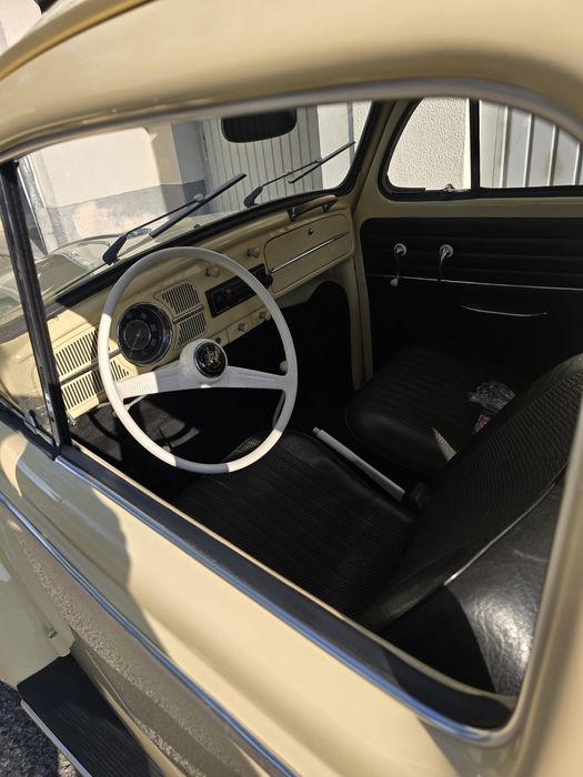 Carocha para eventos