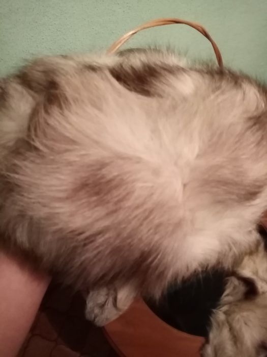 Komplet z lisa z lat 70 PRL