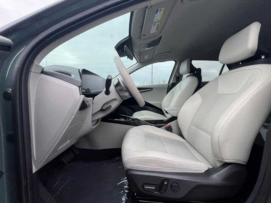 Kia Niro EV Wave      2023