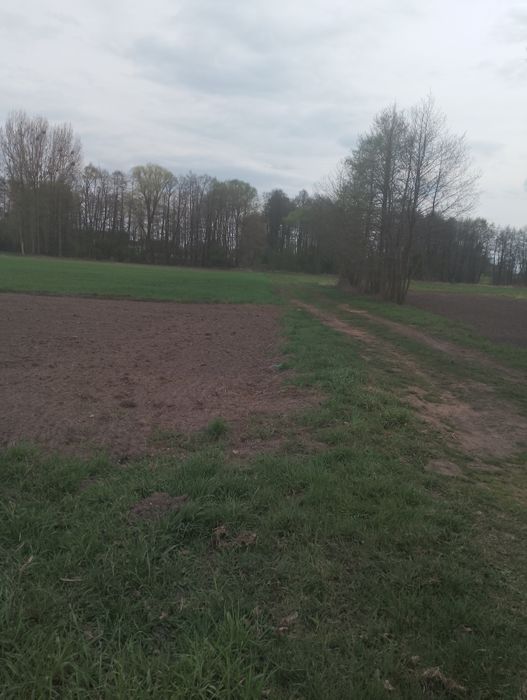 Działka letniskowa,rolna na terenie Nadwarciańskiego Parku Krajobrazowego