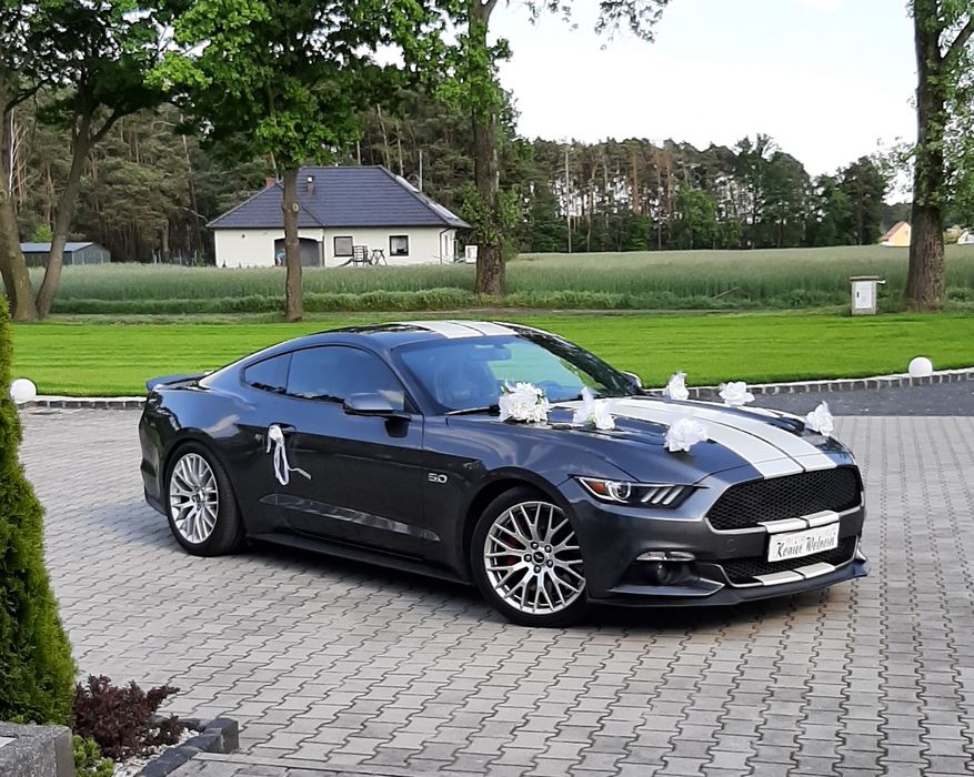Auto do Ślubu Ford MUSTANG GT 5.0 V8 wynajem samochodu na wesele